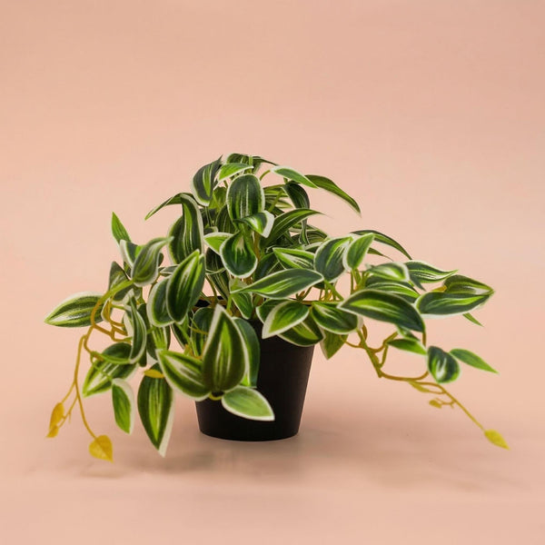 Kunstpflanze Tradescantia im Topf – Ansicht 4