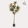 Kunstpflanze - Magnolia Grandiflora- 150 cm