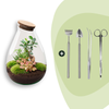 Flaschengarten-Set „Drop XL Bonsai" – DIY-Terrarium mit Bonsai – Ansicht 2