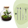 Flaschengarten-Set „Fat Joe" – DIY-Terrarium mit Licht und Pflanzen