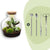 Flaschengarten-Set „Fat Joe" – DIY-Terrarium mit Licht und Pflanzen