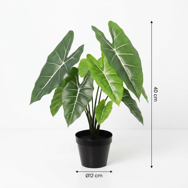 Kunstpflanze Alocasia ‚Polly' – Ansicht 5