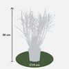 Chinaschilf ‚Strictus' – Miscanthus sinensis – Ansicht 10