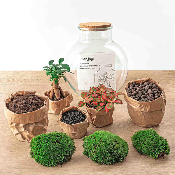 Flaschengarten-Set „Teddy Bonsai" – DIY-Terrarium mit Licht und Bonsai – Ansicht 2