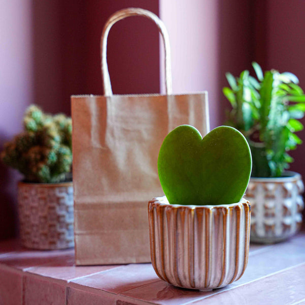 Geschenk-Set „Love“ – Herzblatt, Topf, Grußkarte & Geschenktüte