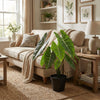 Kunstpflanze Alocasia ‚Polly' – Ansicht 4