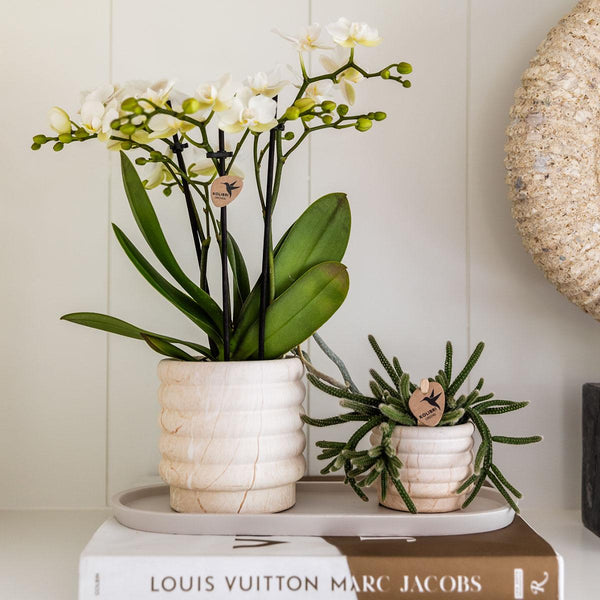 Übertopf-Set „Marble Light“ – Kombi-Angebot Marmor-Übertöpfe – Ansicht 2
