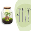 Flaschengarten-Set „Milky" – DIY-Terrarium mit Bonsai und Beleuchtung