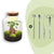 Flaschengarten-Set „Milky" – DIY-Terrarium mit Bonsai und Beleuchtung
