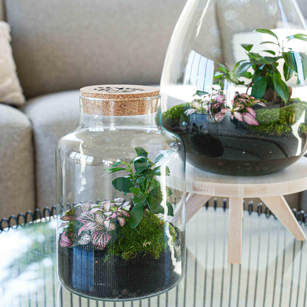 Flaschengarten-Set „Love Mom Little Milky“ – DIY-Terrarium mit graviertem Korken und Licht – Ansicht 5