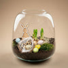 Oster-Set „Emma Mini“ – offenes Terrarium DIY-Kit – Ansicht 4
