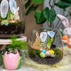 Oster-Set „Emma Mini“ – offenes Terrarium DIY-Kit – Ansicht 2