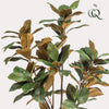 Kunstpflanze - Magnolia Grandiflora- 150 cm
