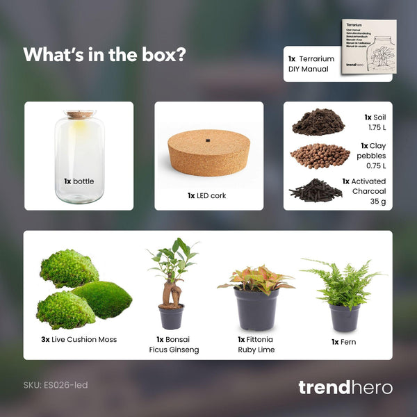 Flaschengarten-Set „Sven XL" – DIY-Terrarium mit Bonsai und Beleuchtung – Ansicht 4