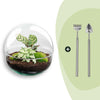 Flaschengarten-Set „Dome" – DIY-Terrarium im Kugelglas