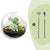 Flaschengarten-Set „Dome" – DIY-Terrarium im Kugelglas