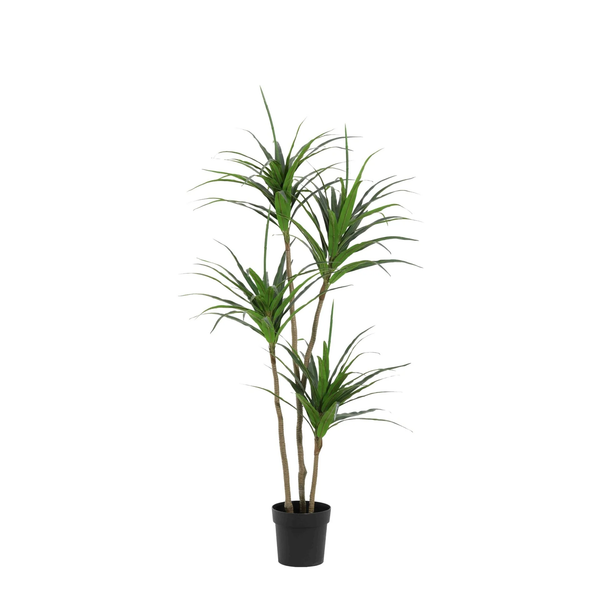 Kunstpflanzen-Duo – Geigenfeige & Drachenbaum – im Set enthalten: Kunstpflanze Drachenbaum (Dracaena)