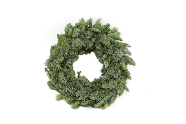 Nobilis-Kranz – Abies procera