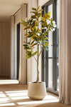 Kunstbaum Magnolie – künstliche Magnolia denudata – Ansicht 2