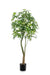 Kunstpflanze - Pachira Aquatica - Glückskastanie - 180 cm