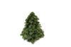 Nobilis-Kranz – Abies procera – 30 cm