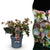 Lenzrose ‚Angels Glow' – Helleborus