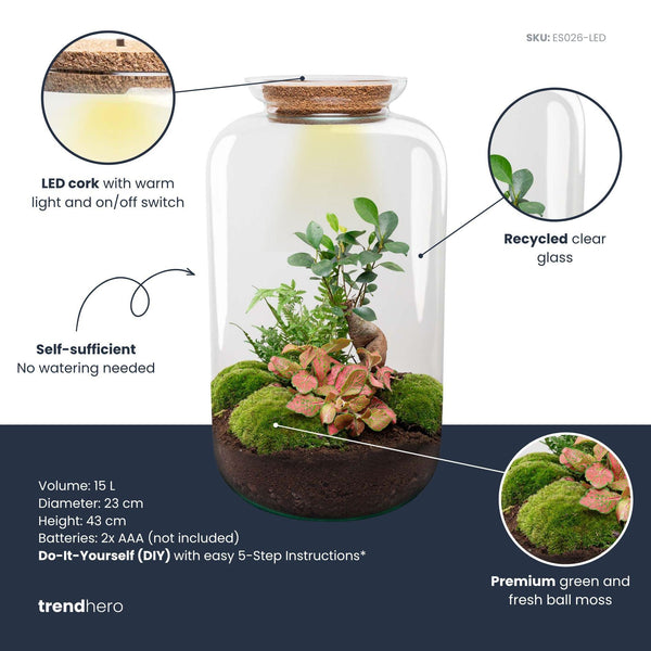 Flaschengarten-Set „Sven XL" – DIY-Terrarium mit Bonsai und Beleuchtung – Ansicht 3