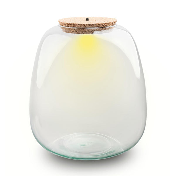 Flaschengarten-Set „Emma" – Terrarium mit Beleuchtung