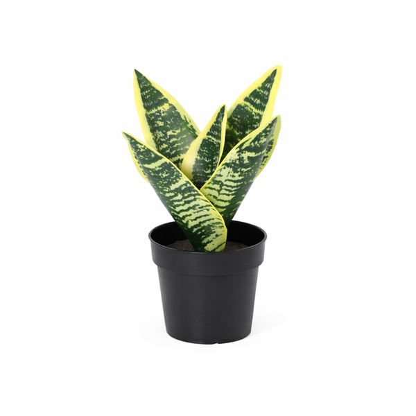Kunstpflanzen-Set „Mini-Quartett“ – 4 kleine Kunstpflanzen für Regal & Schreibtisch – im Set enthalten: Kunstpflanze Bogenhanf (Sansevieria ‚Laurentii')