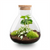 Flaschengarten-Set „Sammie" – DIY-Terrarium mit Kaffeepflanze
