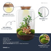 Flaschengarten-Set „Sven XL" – DIY-Terrarium mit Bonsai und Beleuchtung – Ansicht 2