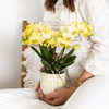 Schmetterlingsorchidee ‚Blossom Albenga' – Phalaenopsis – Ansicht 8