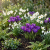 Blumenzwiebel-Set „Schattengarten" – Sommerblüher für schattige Lagen – Ansicht 2
