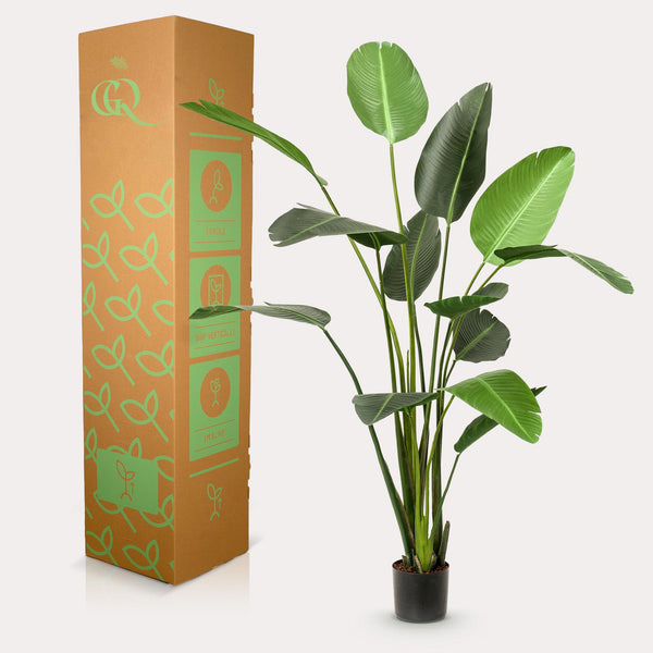 Kunstplant - Strelitzia Nicolai - Paradijsvogelbloem -230cm