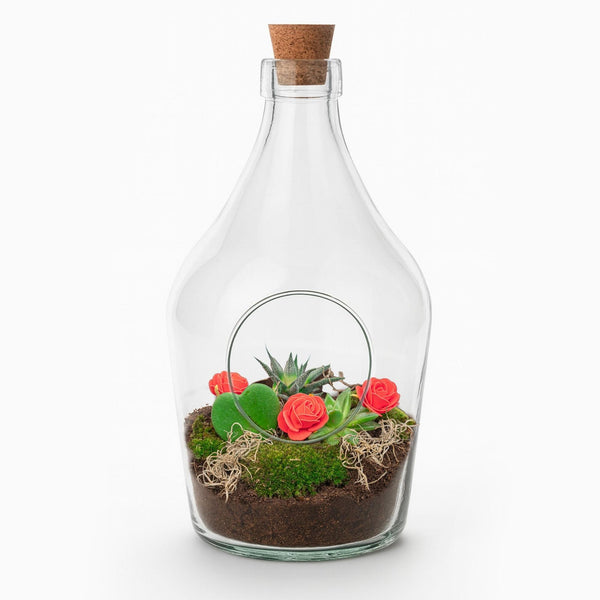 Flaschengarten-Set „Love in a Bottle“ – offenes DIY-Pflanzenterrarium