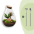 Flaschengarten-Set „Drop XL Palm" – DIY-Terrarium mit Palme