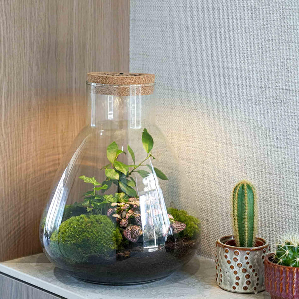 Flaschengarten-Set „Love Mom Sam“ – DIY-Terrarium mit graviertem Korken und Licht – Ansicht 5