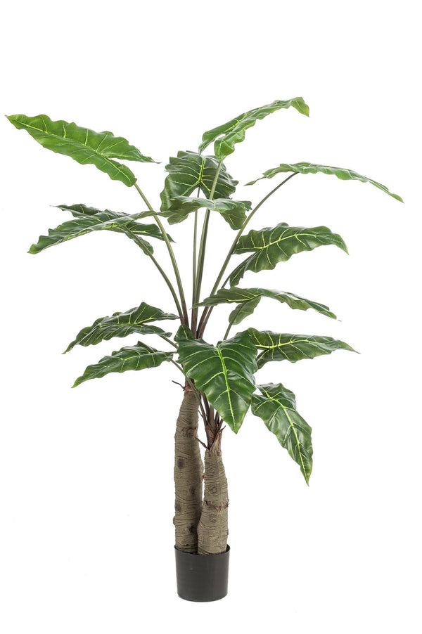 Kunstpflanze Alocasia