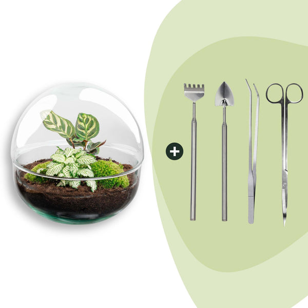 Flaschengarten-Set „Dome" – DIY-Terrarium im Kugelglas
