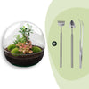Flaschengarten-Set „Dome XL" – DIY-Terrarium mit Ficus-Ginseng-Bonsai