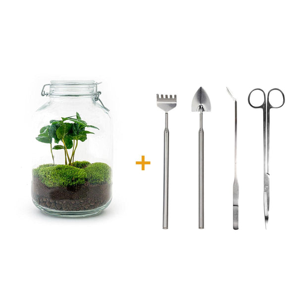 Flaschengarten-Set „Kaffeepflanze" – DIY-Terrarium mit Coffea arabica und Werkzeug