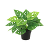 Kunstpflanze Monstera Monkey Leaf – Ø 9 cm · 22 cm