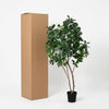 Kunstpflanze Geigenfeige (Ficus lyrata) – Baum – Ansicht 6
