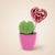 Geschenk-Set „Sweetheart“ – Mini-Grünpflanze mit Topf
