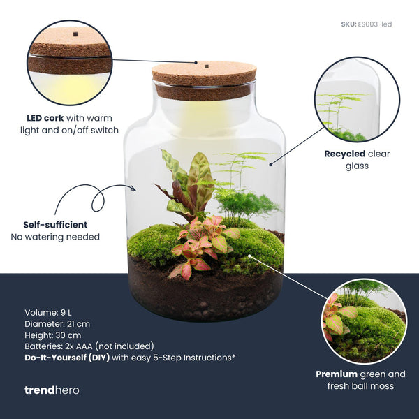Flaschengarten-Set „Milky" – DIY-Terrarium mit Licht – Ansicht 4