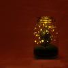 Flaschengarten-Set „Jar Christmas" – DIY-Terrarium im Glas – Ansicht 2