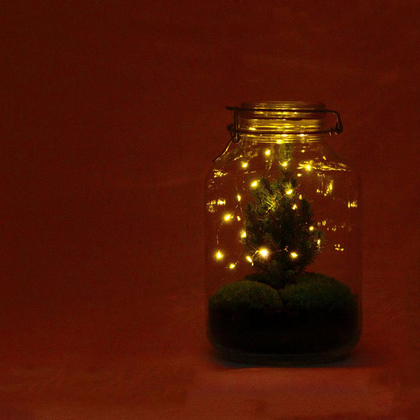 Flaschengarten-Set „Jar Christmas" – DIY-Terrarium im Glas – Ansicht 2