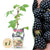 Brombeere ‚Black Satin' – Rubus fruticosus – Ø 9 cm