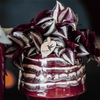 Zebrakraut – Tradescantia zebrina – Ansicht 5