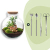 Flaschengarten-Set „Bolder Bob" – Bonsai im Glas